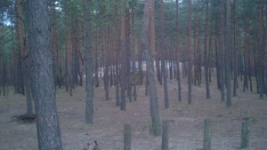 PHTO0373.JPG